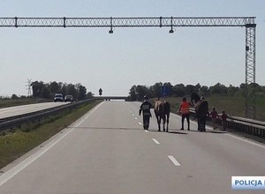 Policjanci eskortowali konie na autostradzie