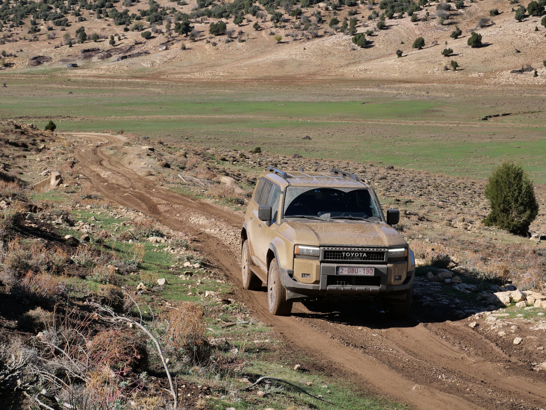 Toyota Land Cruiser 250