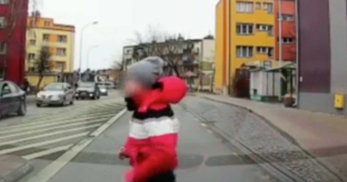 Policjanci szukają chłopca potrąconego na pasach w Ostrowcu Świętokrzyskim