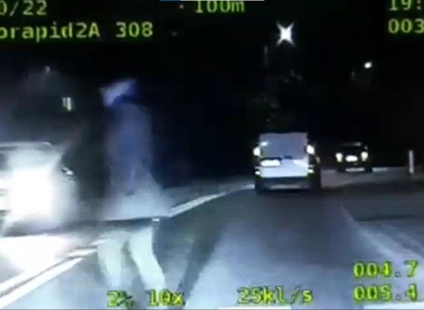Zrobił to na oczach policji. Reakcja była natychmiastowa [WIDEO]