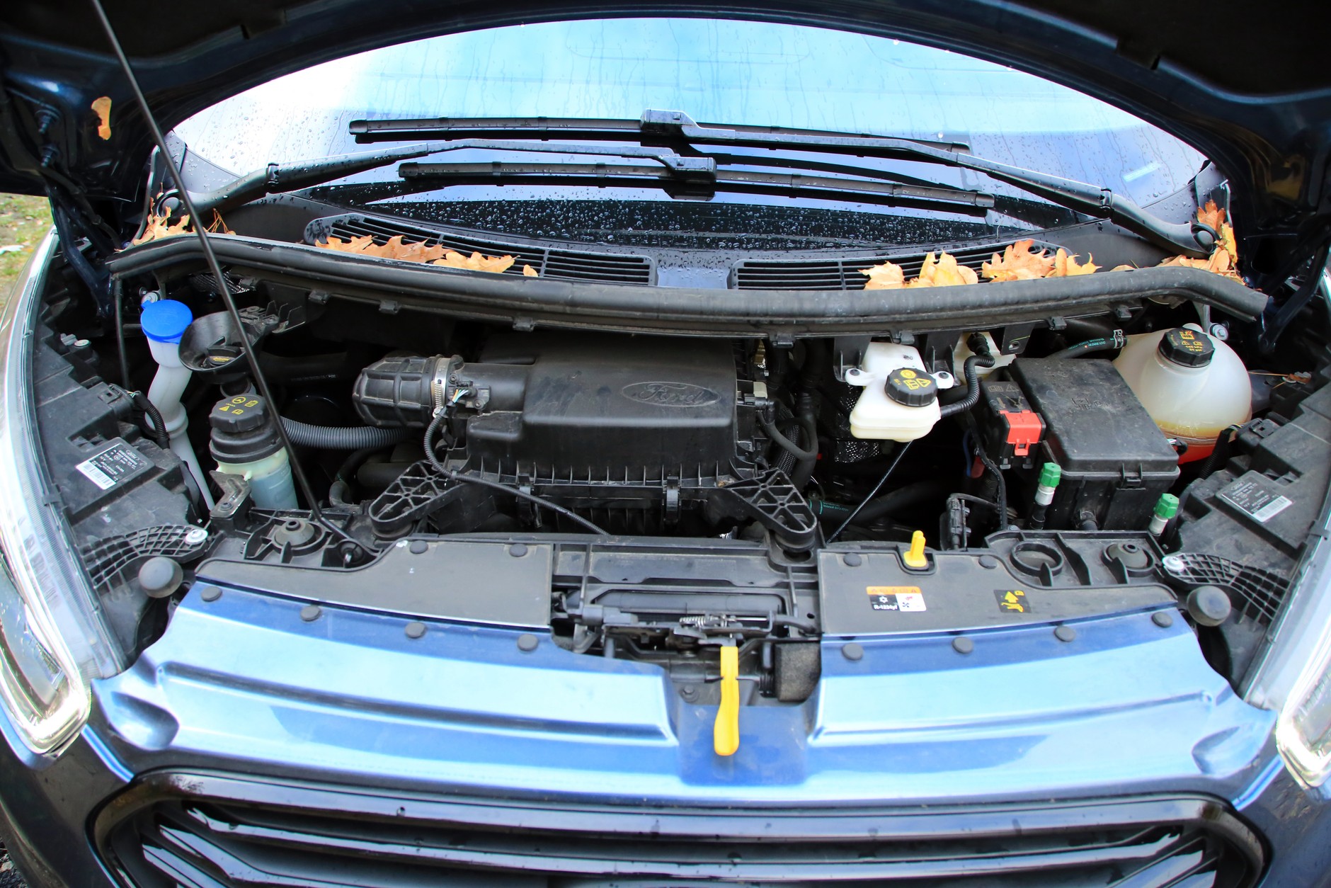 Ford Tourneo Custom Sport