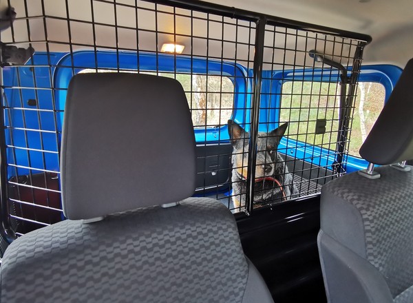 Czy warto kupić używane auto z kratką? Spytaliśmy mechaników i flotowców