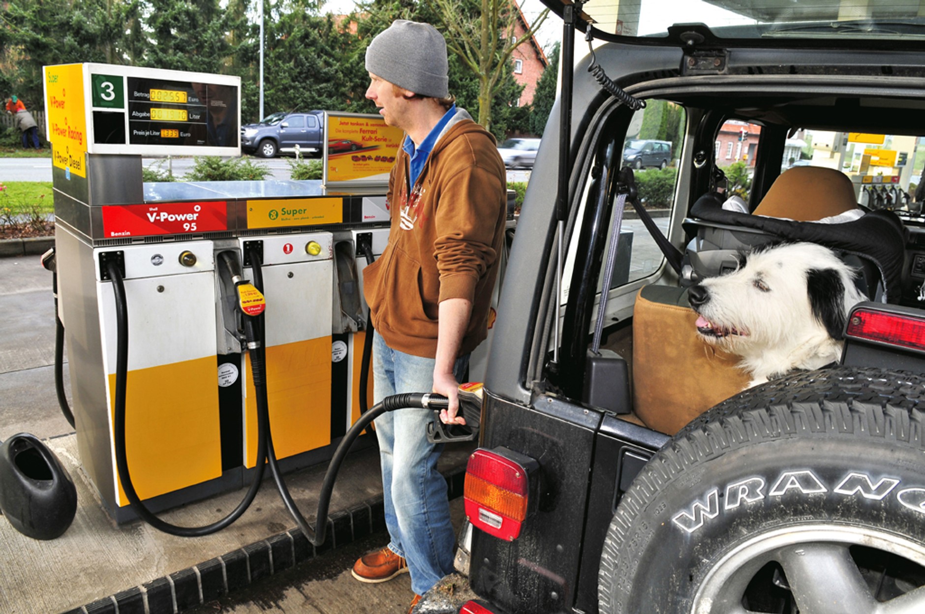 Masz psa - sprzedaj samochód. Czyli o "ekologii" słów kilka