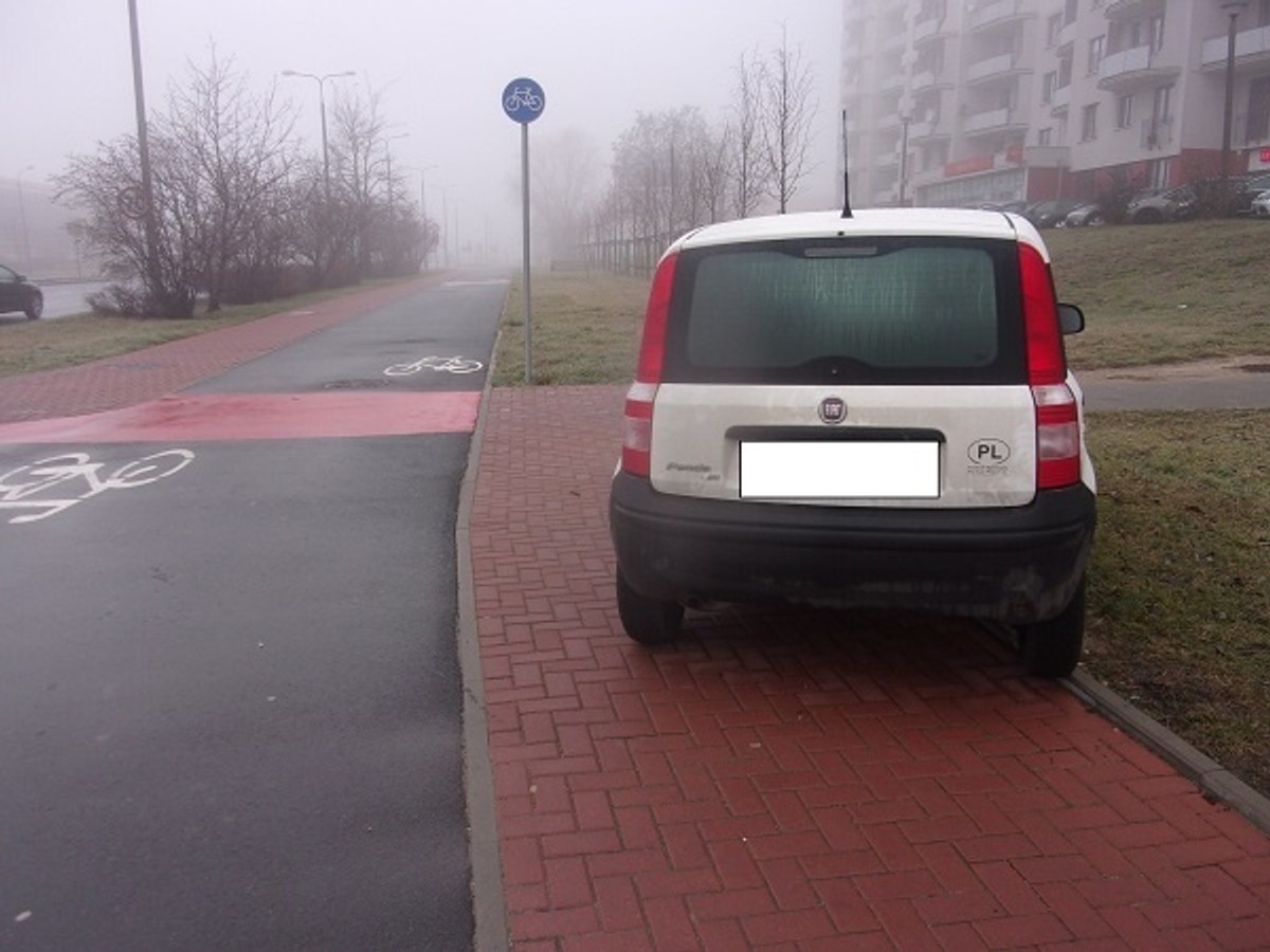 Mistrzowie parkowania z Płocka