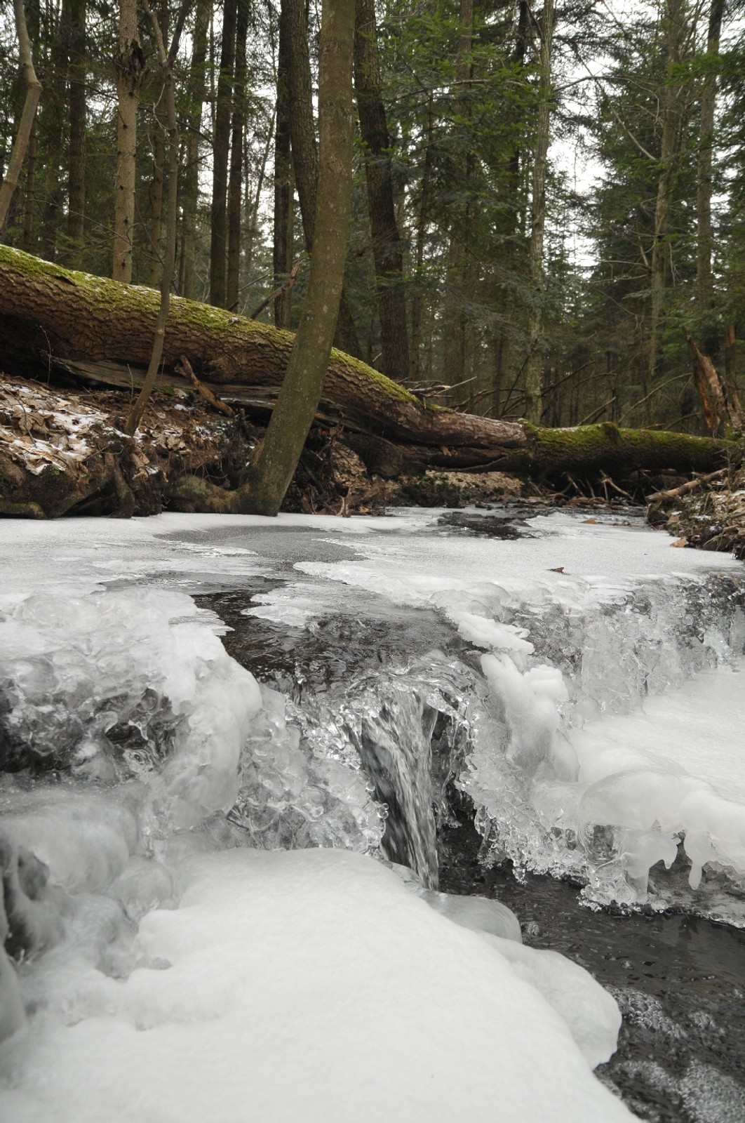 Terenowe zwiedzanie Polski