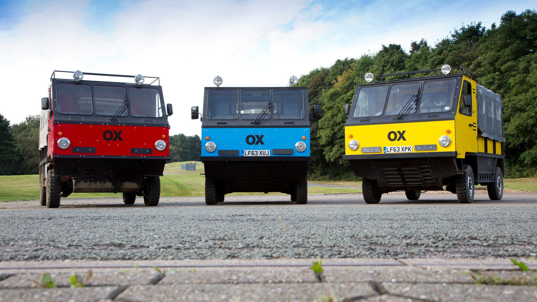 GVT Ox