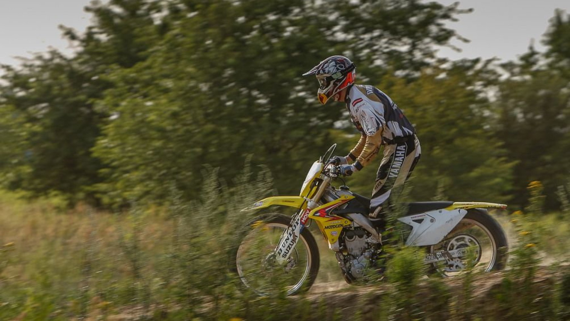 Suzuki RMX450Z