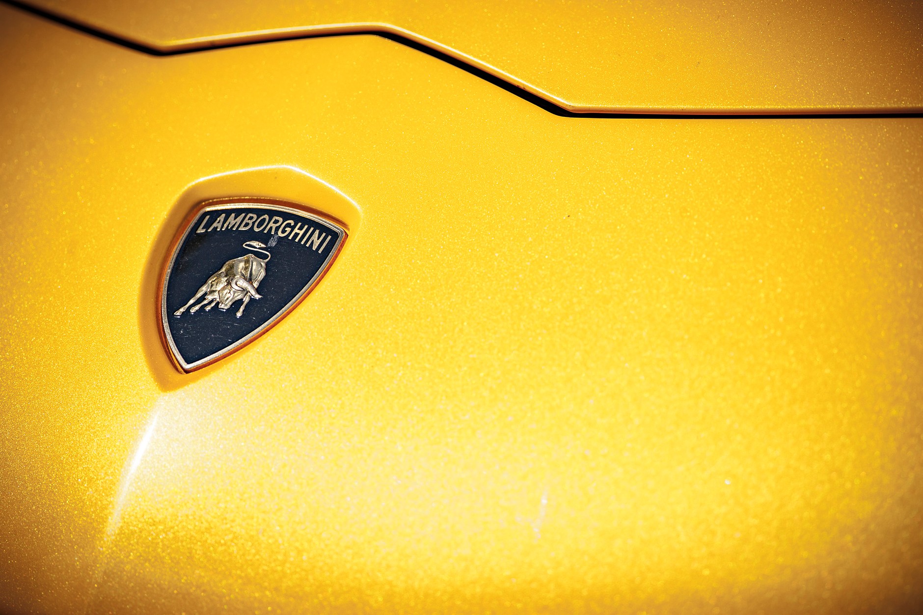 Lamborghini Aventador Coupe vs. Porsche 911 Tubo Cabrio