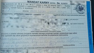 Szokująco wysoki mandat dla pijanego rowerzysty