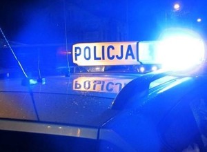 Łoś wbiegł na autostradę A1. Śmiertelny wypadek