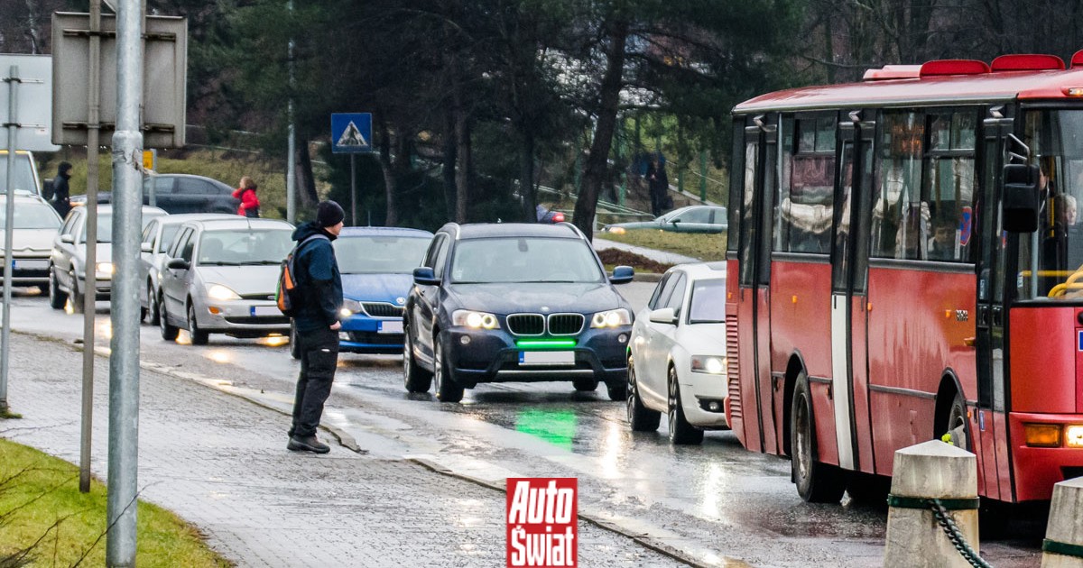 Dodatkowe zielone światło na aucie może stać się obowiązkowe. UE jest zainteresowana