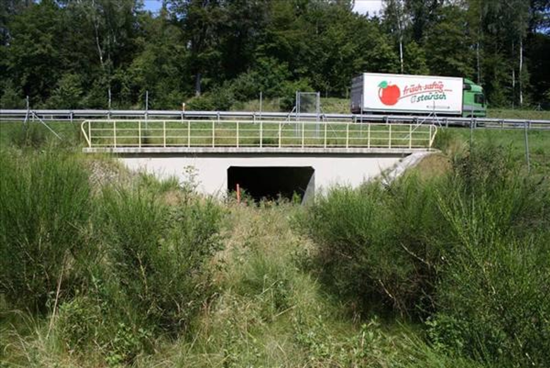 Jezdnia kontra opady deszczu - Gdzie trafia woda z drogi?