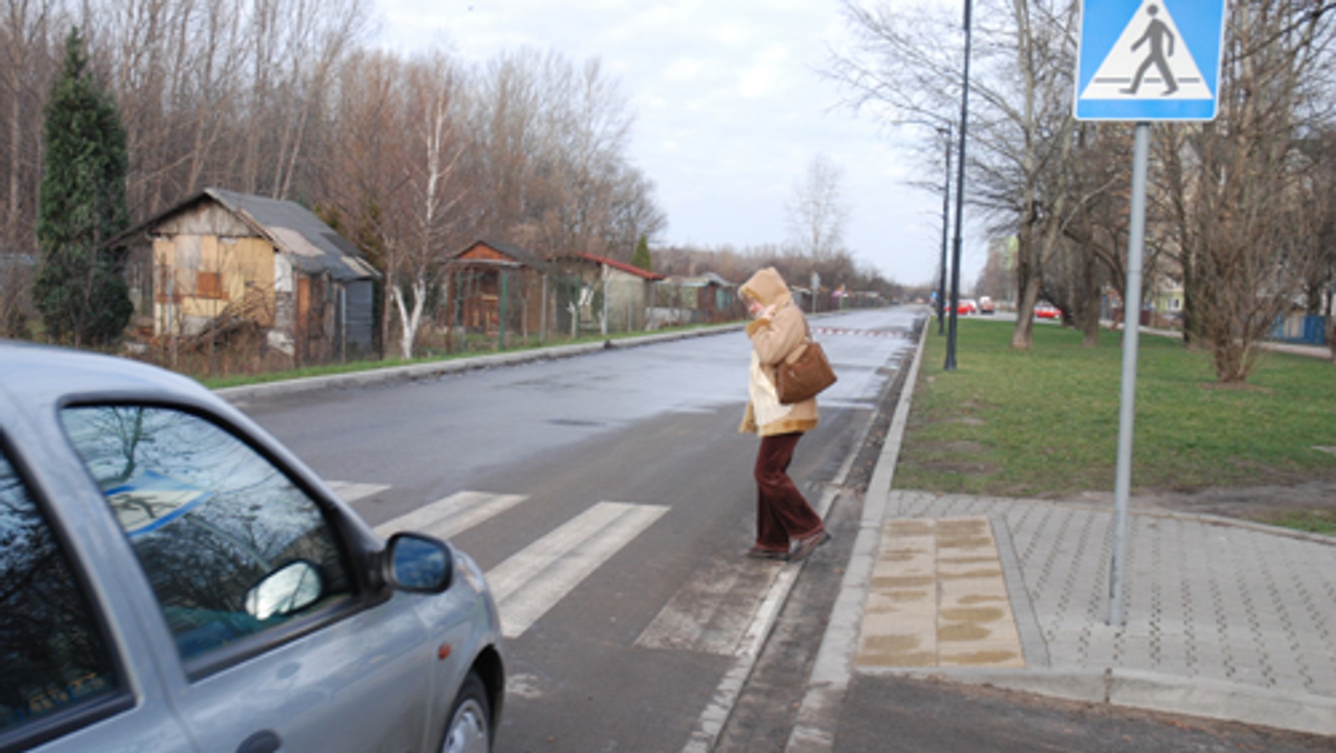 Pieszy - święta krowa?