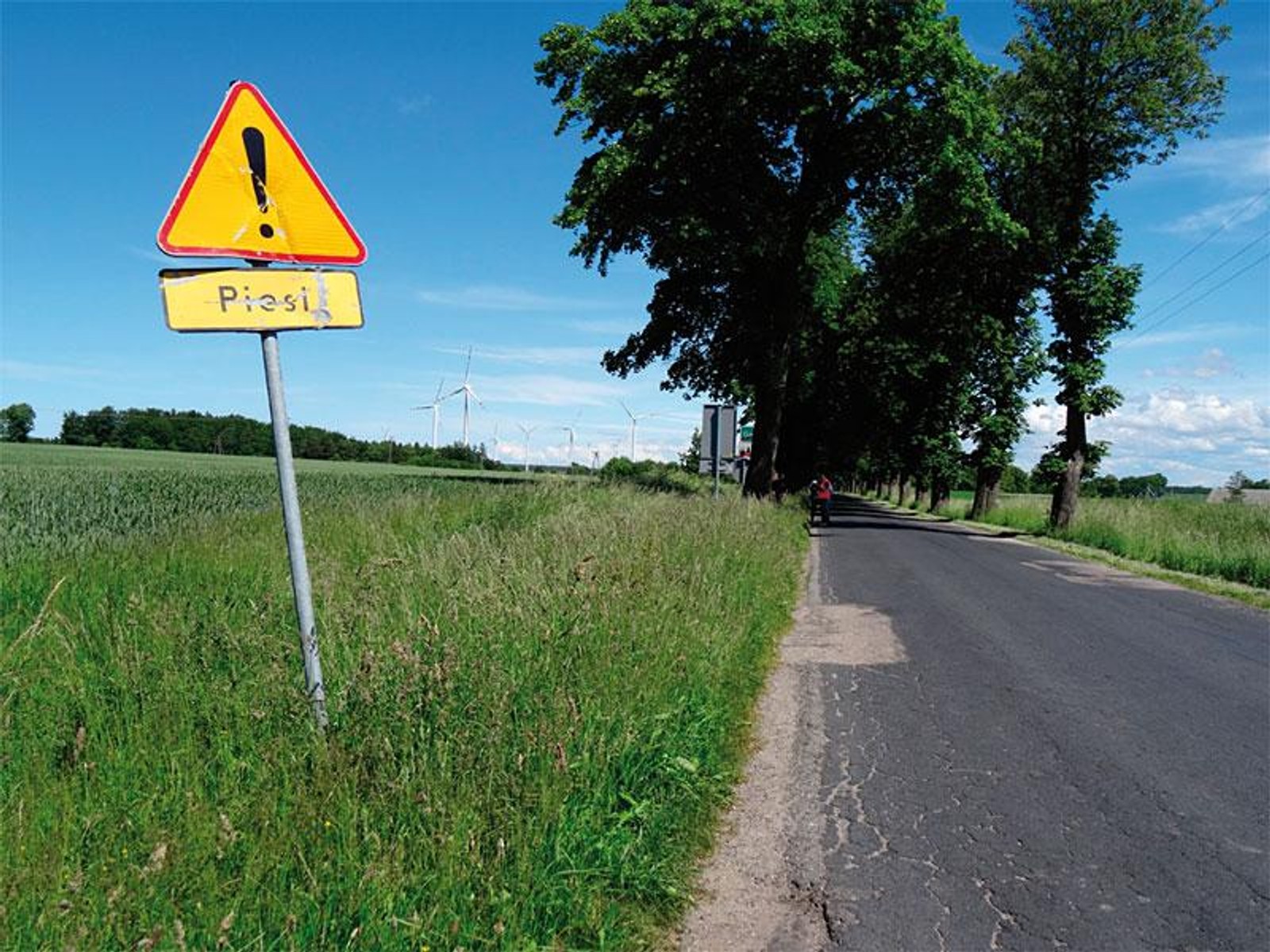 Raport NIK - stan oznakowania dróg