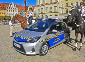 Straże miejskie i gminne zyskają nowe uprawnienia