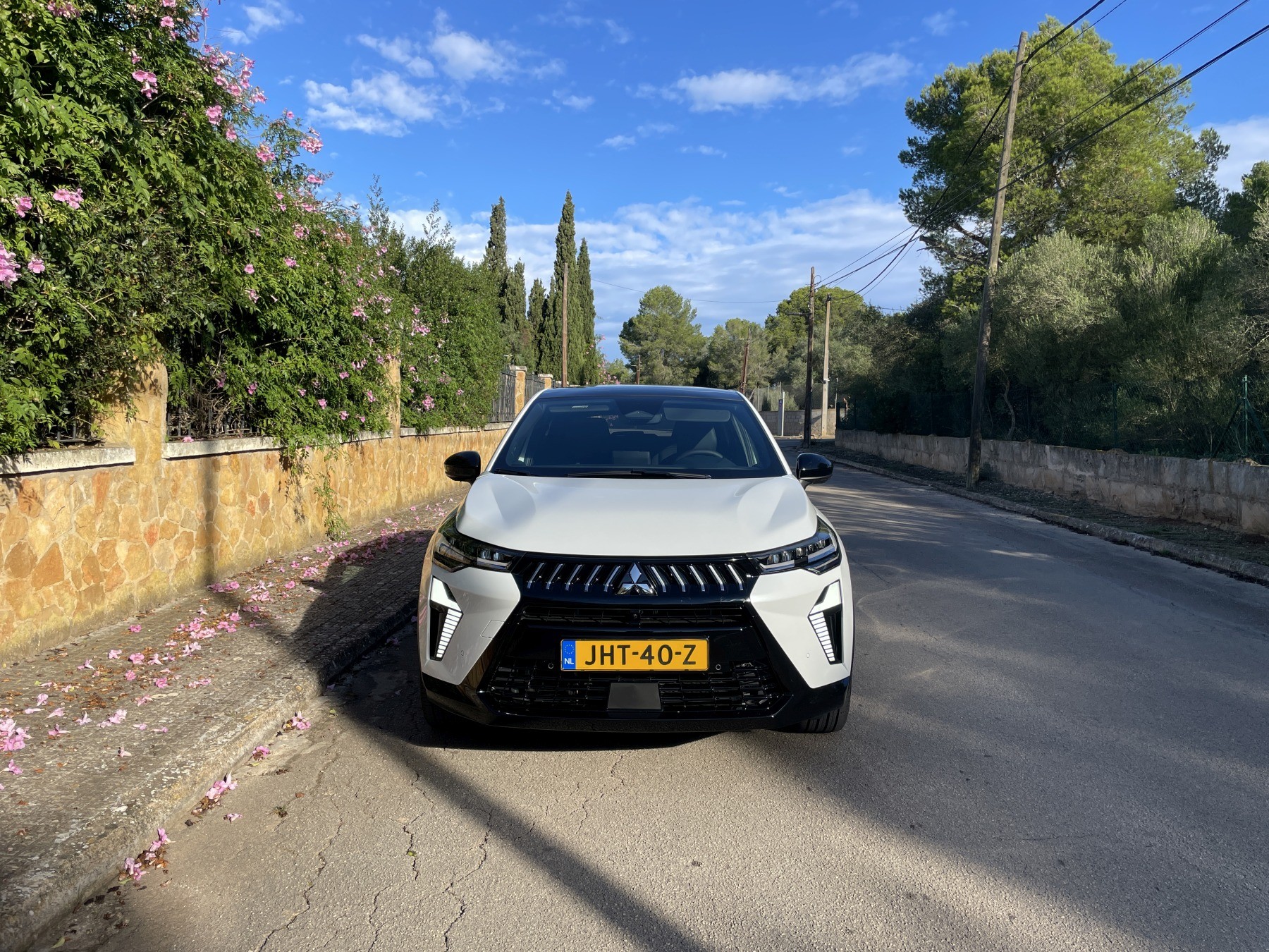 Mitsubishi Grandis