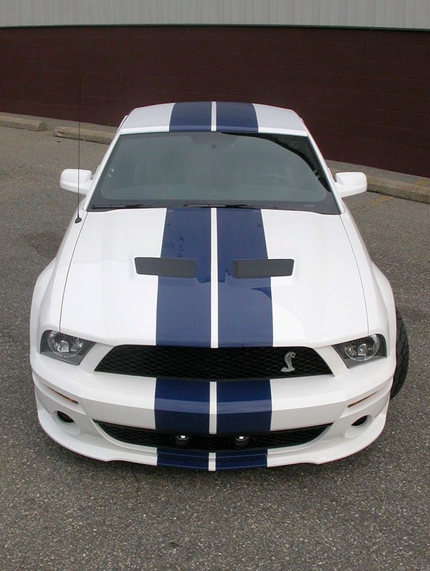 StangNet Mustang GT500: wściekła zebra
