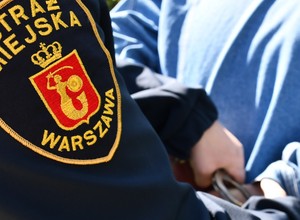 Zaczęło się od parkowania na trawniku, teraz 24-latkowi grozi do 10 lat więzienia