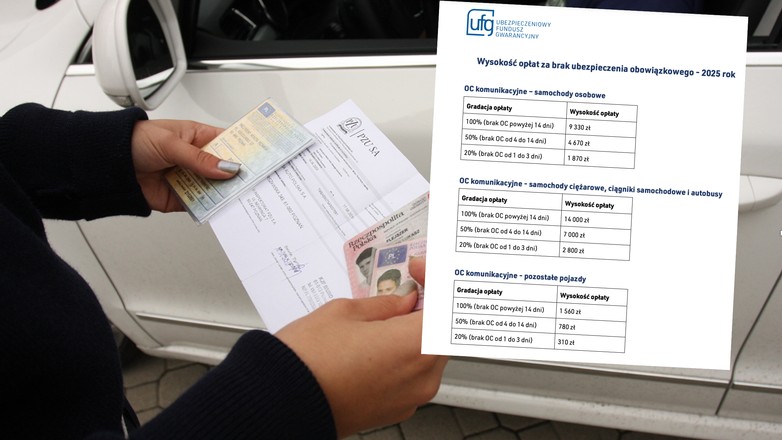 Aktualne stawki kar za brak OC