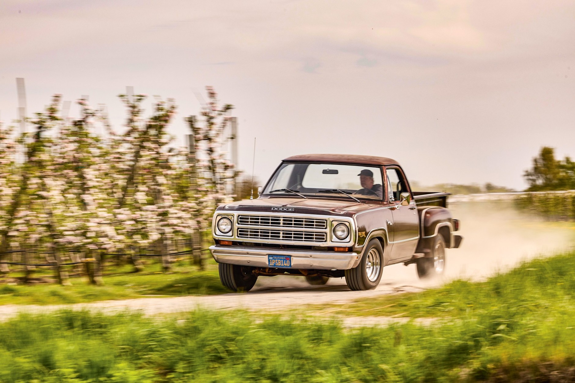 Dodge D150 True Spirit