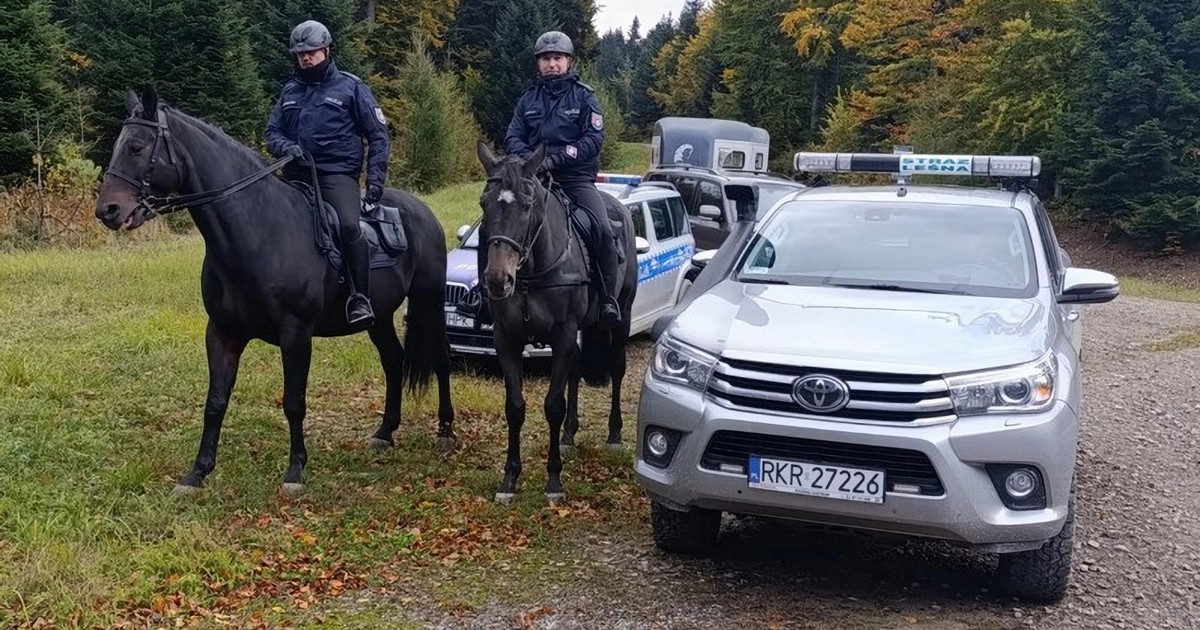  Przez ekologię policjanci zamienili konie mechaniczne na spalinowe. Turyści w szoku