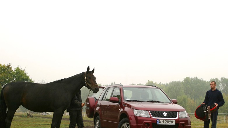 Suzuki Grand Vitara: SUV z genami terenówki