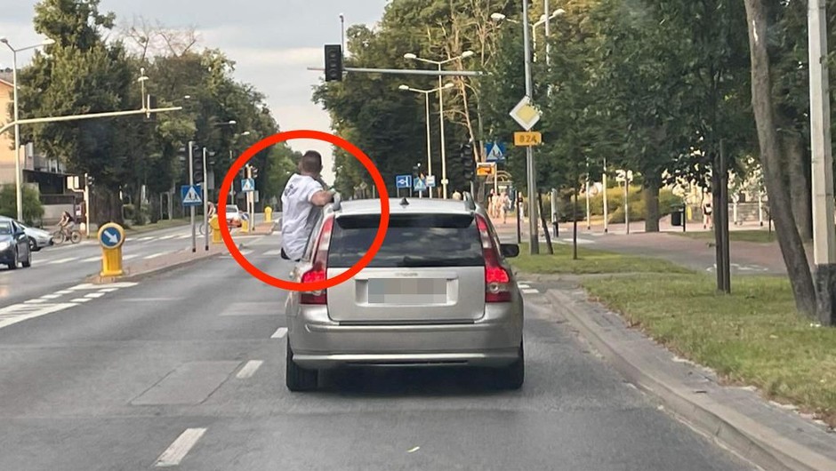 Pulawy