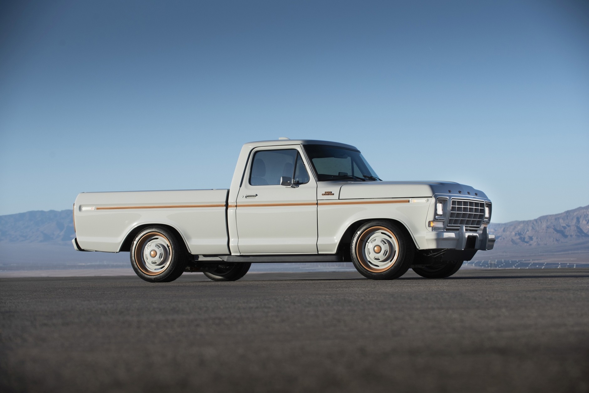 Ford F100 Eluminator