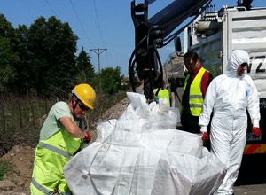 Takie rzeczy na budowie drogi to prawdziwa rzadkość. Potrzebny był myrmekolog