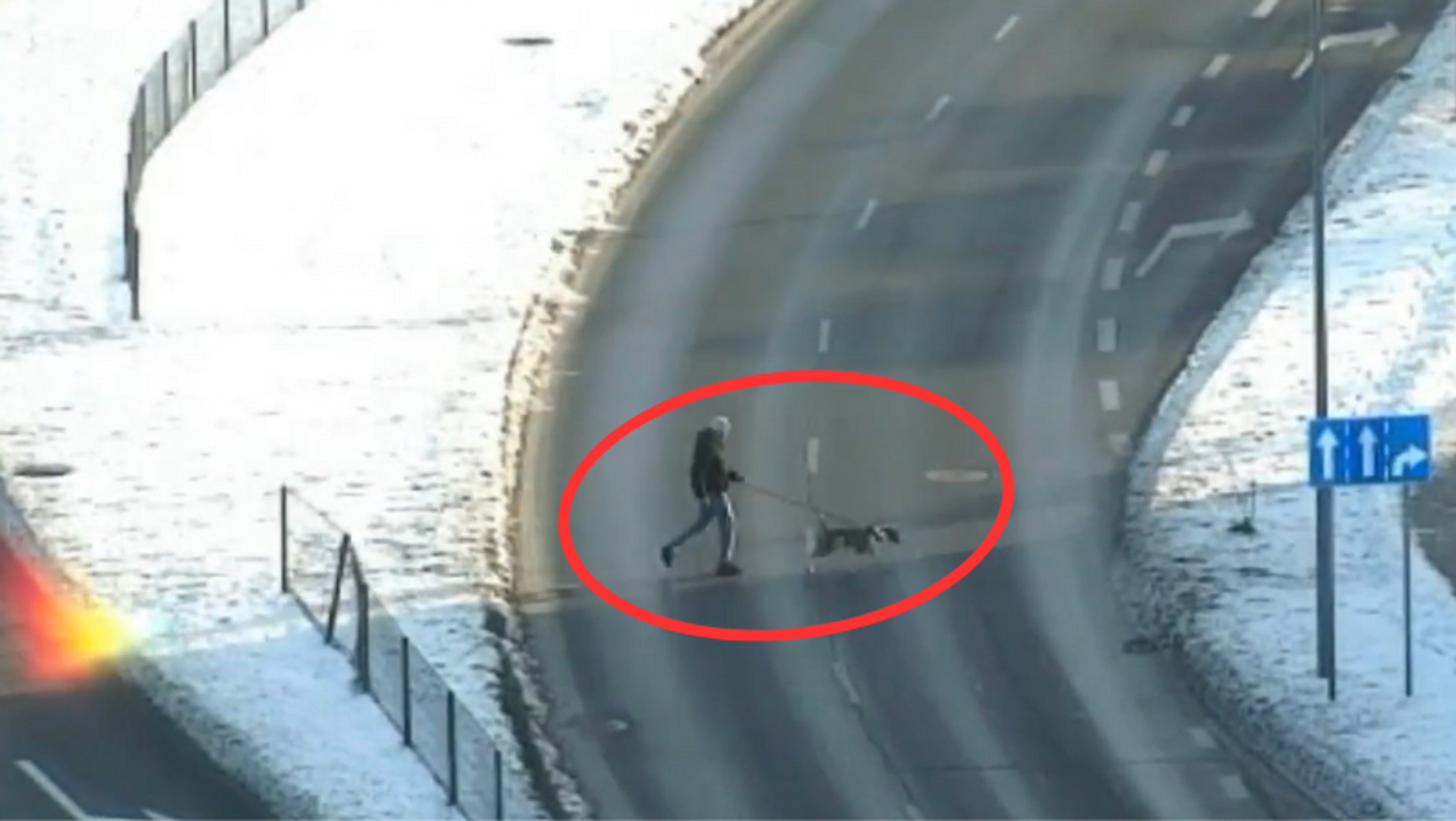 Kuriozalne zachowania pieszych. Tak proszą się o śmierć