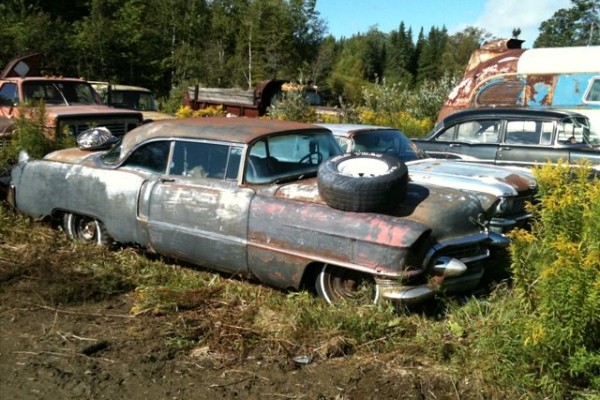 Cadillaci cierpliwie czekają na swój los