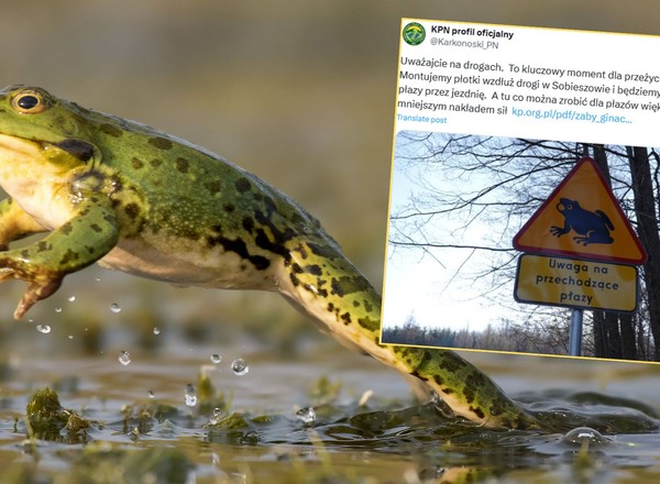 Nietypowy znak na polskich drogach. Kiedy go zobaczysz, od razu zwolnij