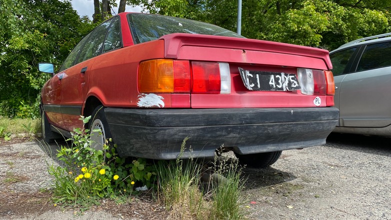 Czarne tablice - jakie auta wciąż je mają?