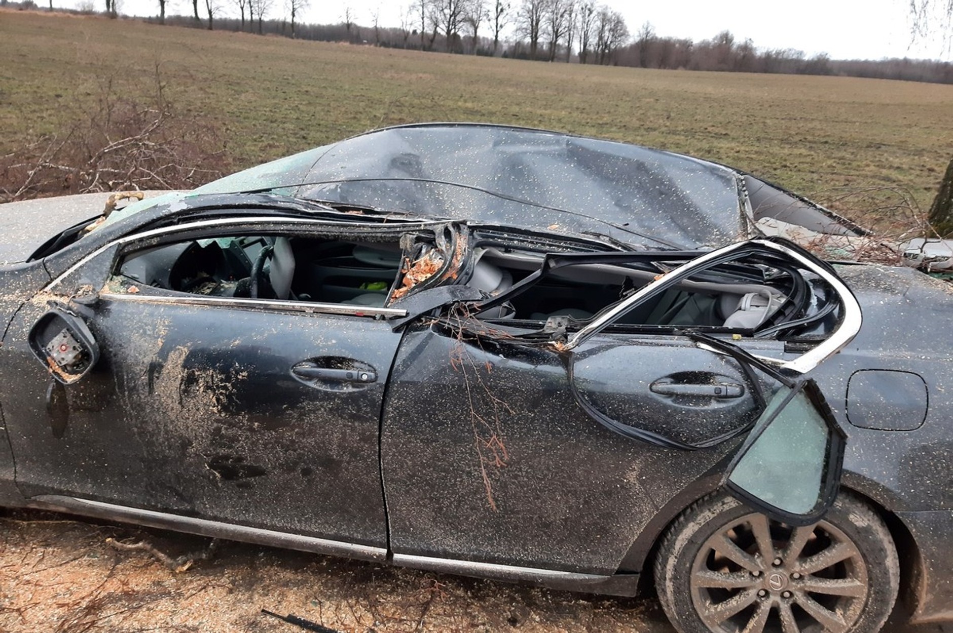 Lexus GS300 zdemolowany przez powalone drzewo. Skutki wichury w okolicach Kętrzyna