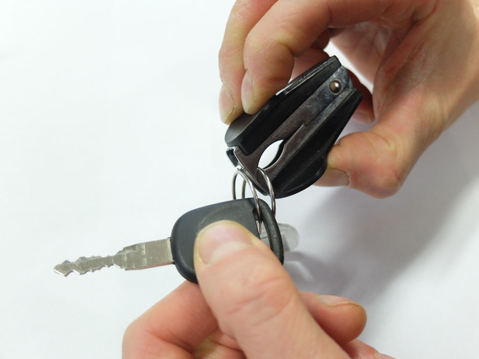 Zęby teściowej: połączą klucz z breloczkiem