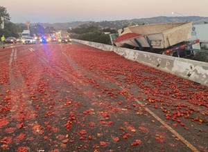 Pomidorowa autostrada. Tysiące pomidorów zablokowały drogę