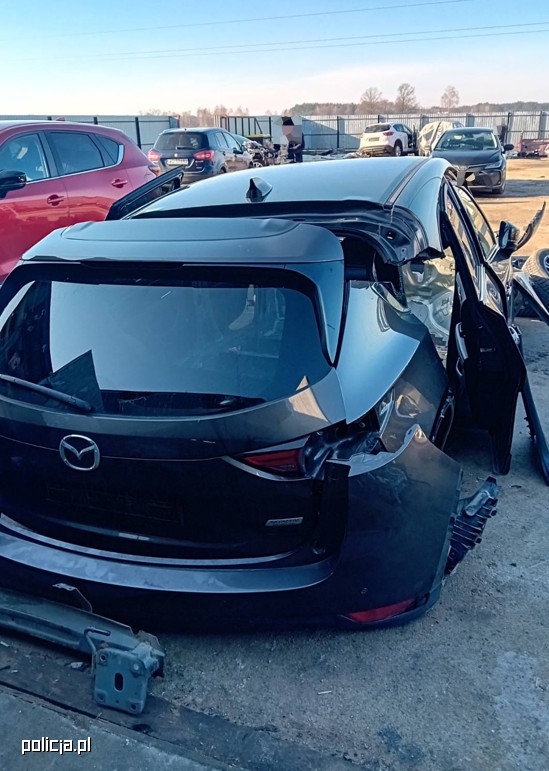 Policjanci znaleźli "dziuplę", a w niej towar o wartości niemal pół miliona zł