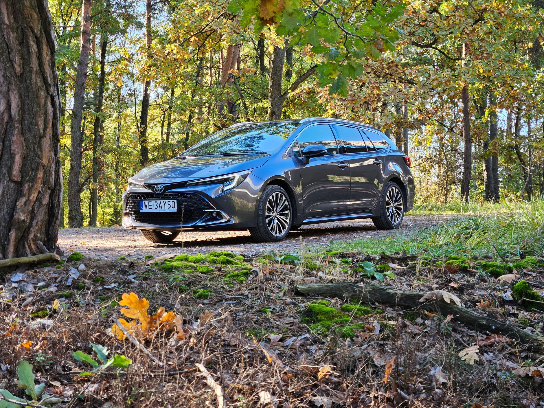 W ogólnej sprzedaży (firmy i klienci indywidualni) prym wiedzie Toyota Corolla (3922 szt.)