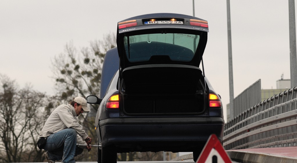 Polski kierowca, czyli Zosia – Samosia