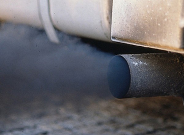 Volkswagen przeprasza za testy na... małpach