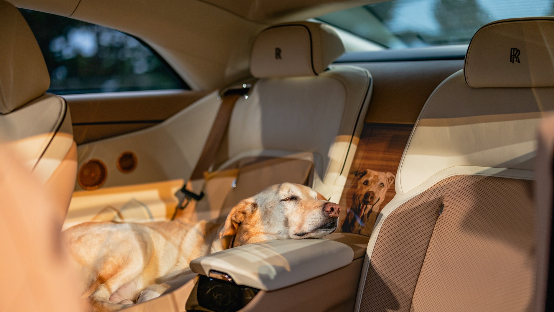 Rolls-Royce Spectre