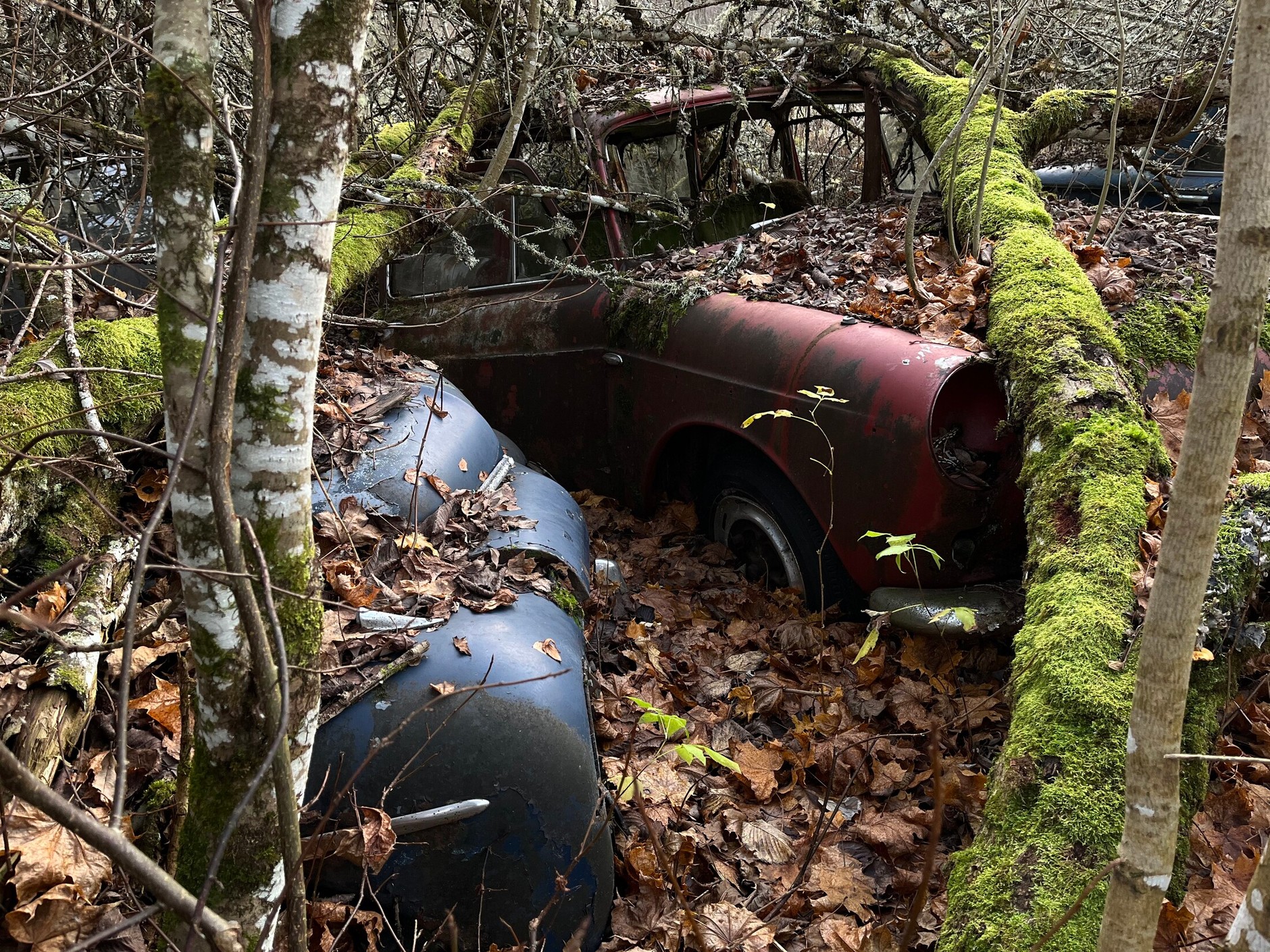 Cmentarzysko samochodów w Bastnas w Szwecji