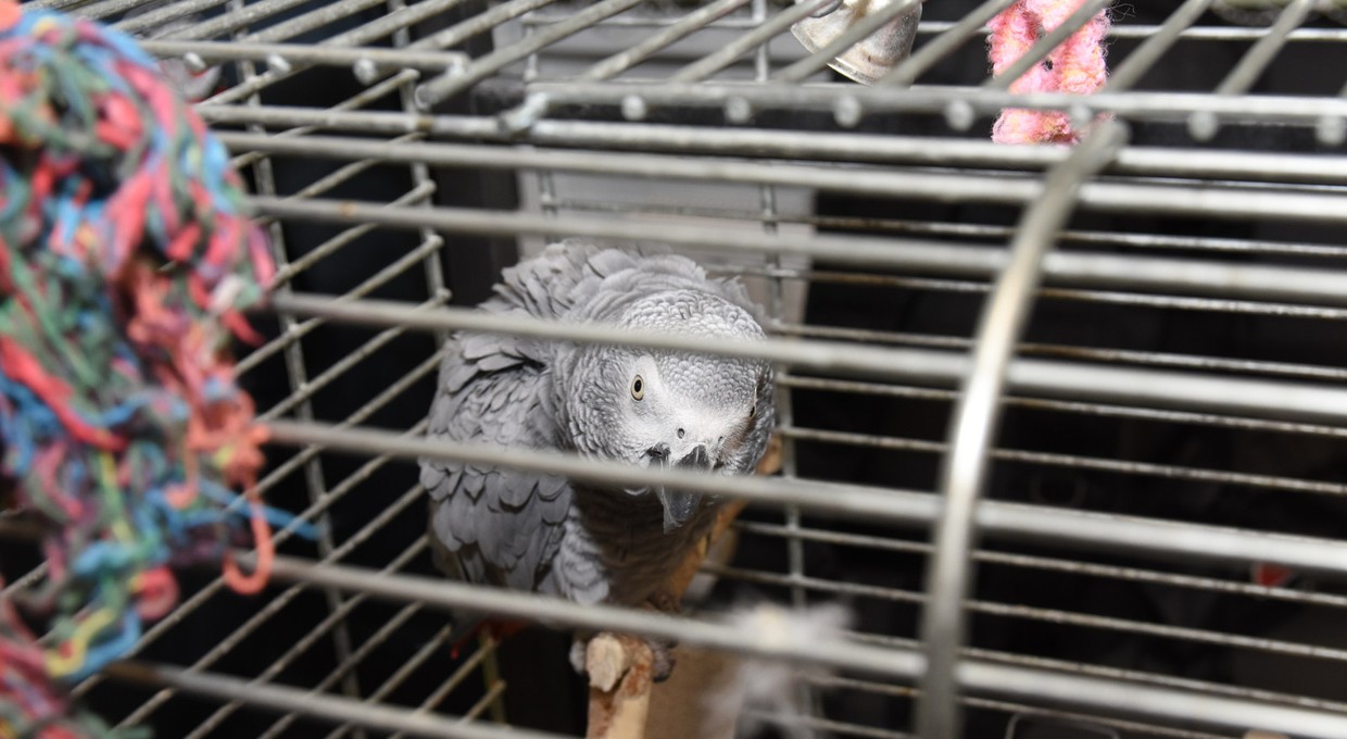 Zaskakujące odkrycie w bagażniku auta na granicy polsko-ukraińskiej