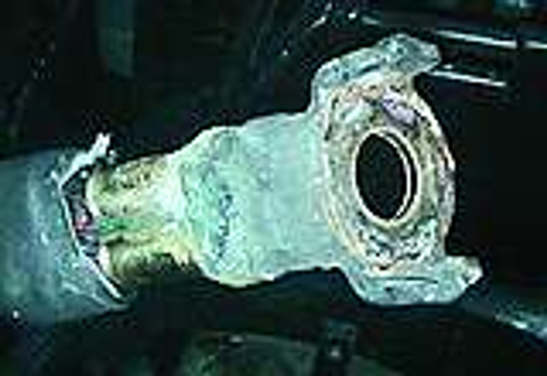 Beztroska generacja?