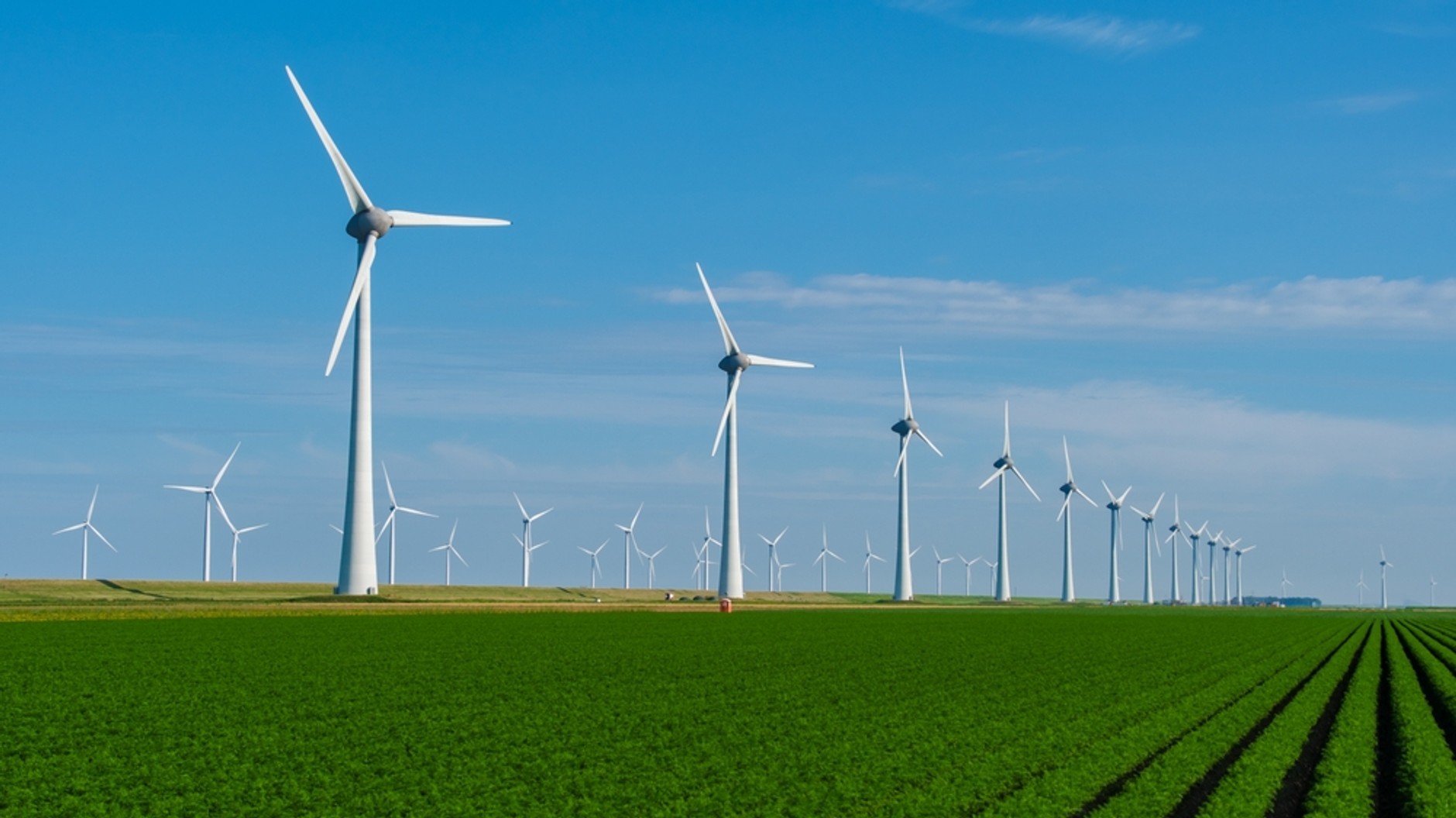 Odnawialne źródła energii to odpowiedź na wyzwania przyszłej dekady – nie na obecny kryzys.