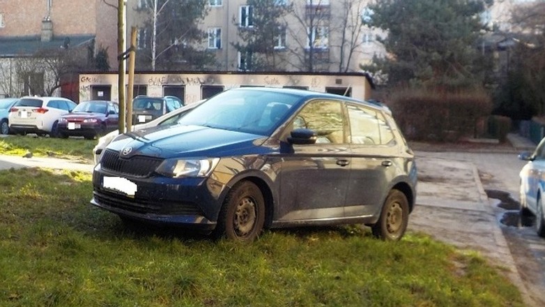 Parkowanie na trawniku