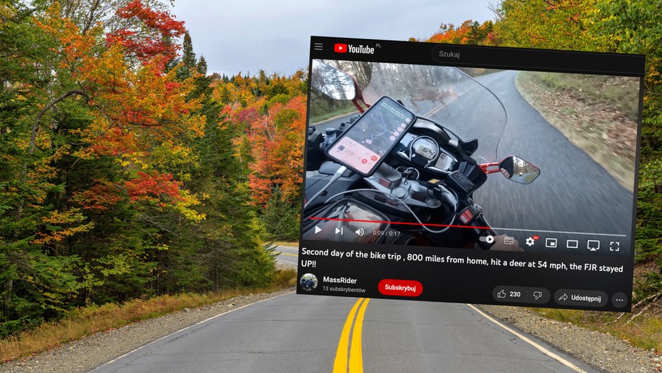Motocyklista zderzył się z jeleniem. Mężczyzna miał dużo szczęścia