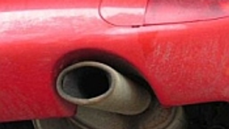 Niemieckie marki z poparciem UE