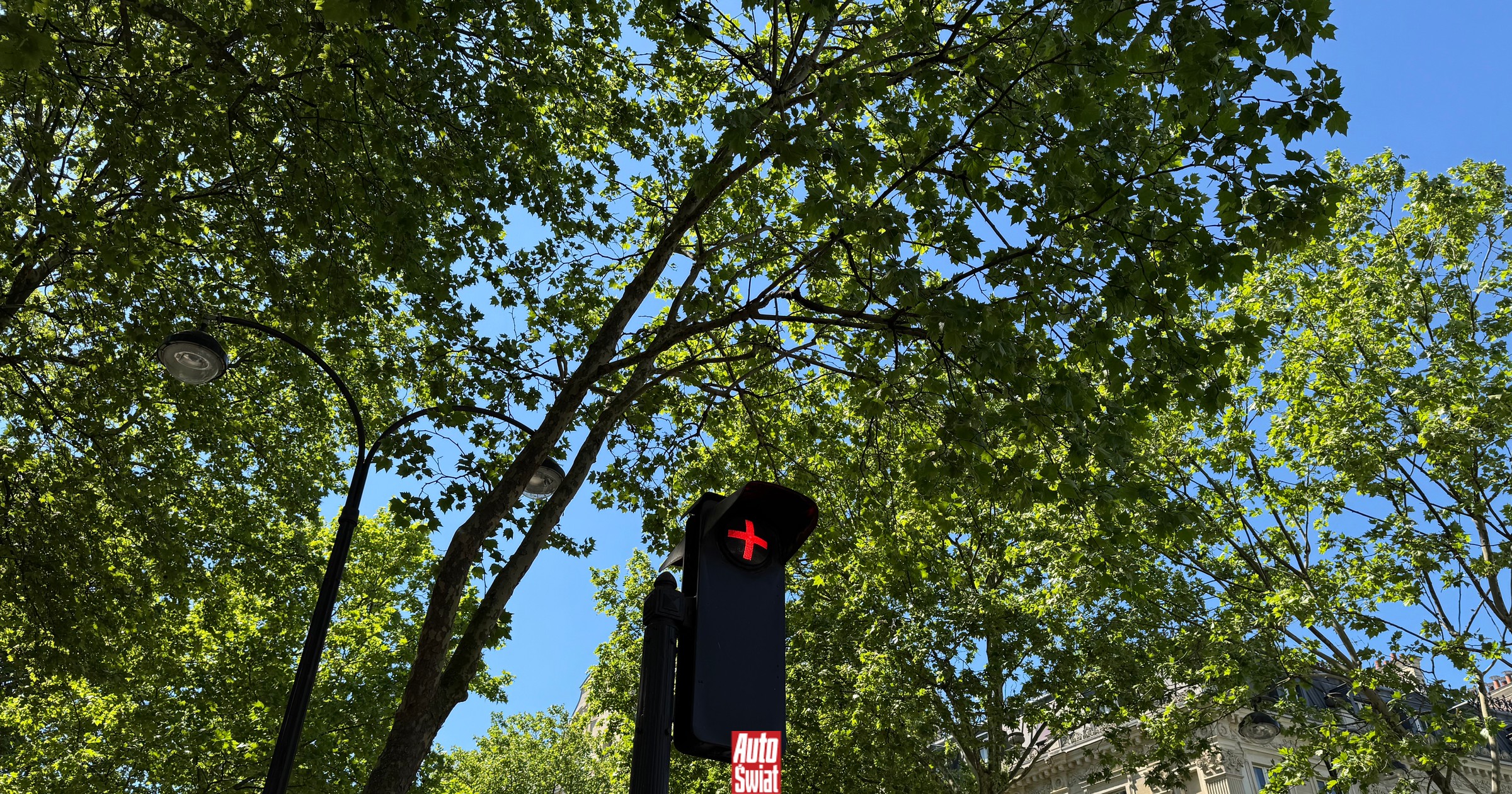 Sygnalizacja świetlna pokazuje czerwony plus. Co to oznacza?