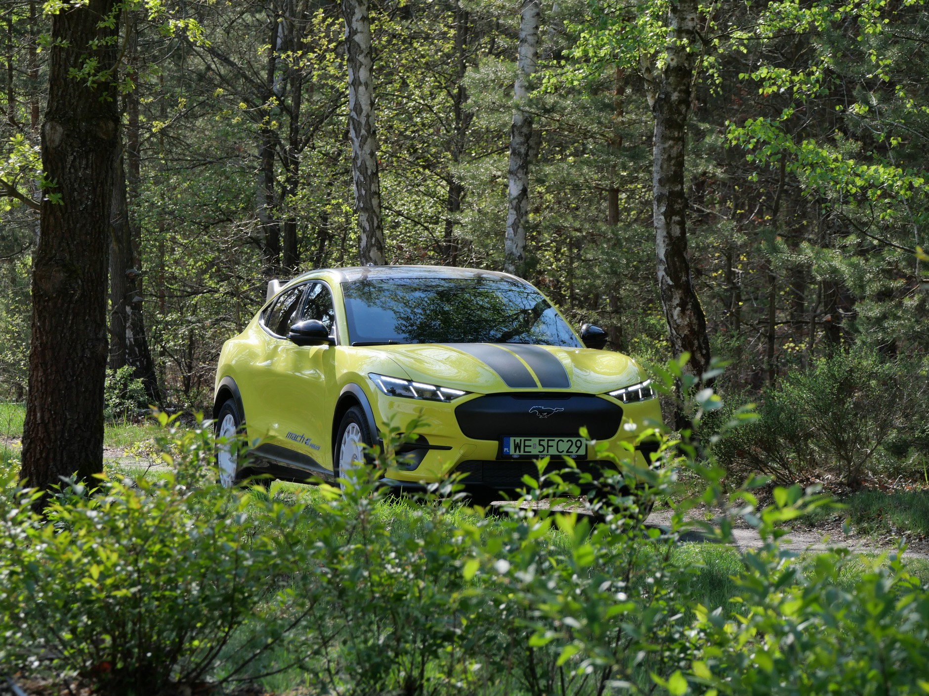 Mustang Mach-E GT Rally